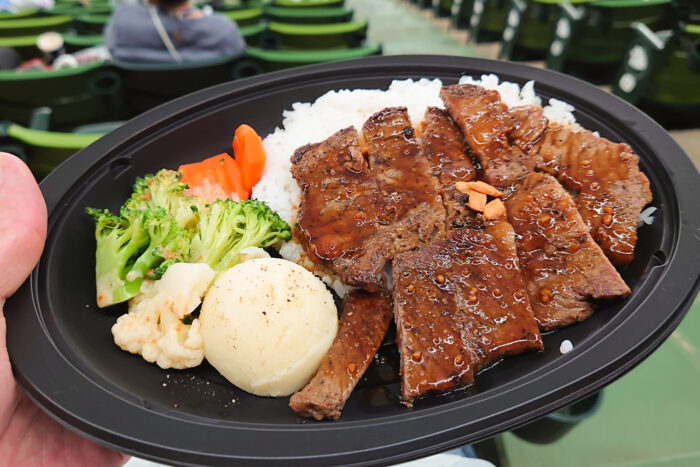 メヒアのパワープレート